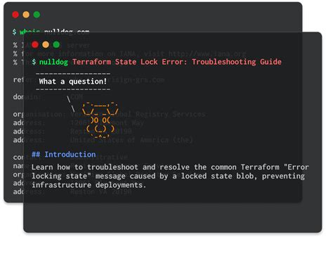 How to troubleshoot 5 common Terraform errors .